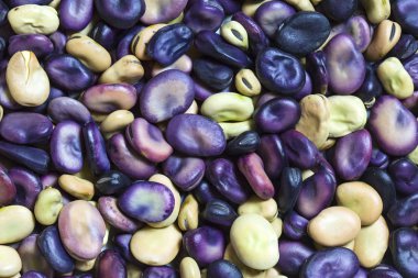 arka plan fasulye tohumları doku