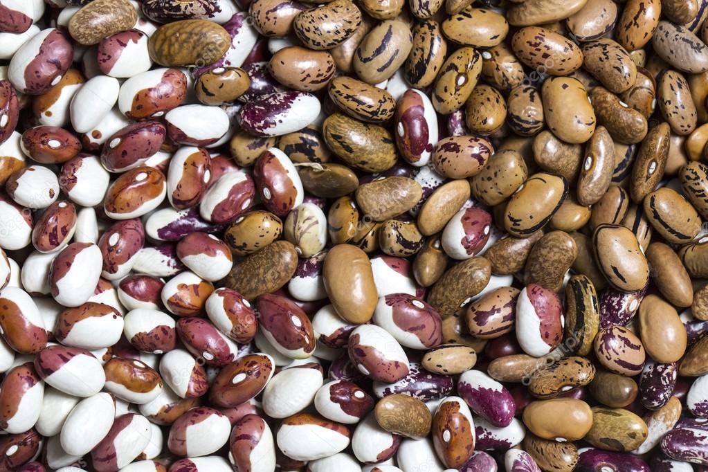 background bean seeds Texture
