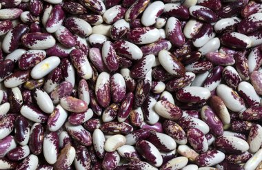 arka plan fasulye tohumları