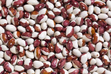 arka plan fasulye tohumları