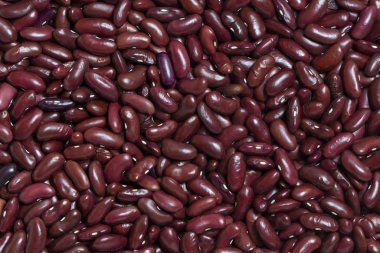 arka plan fasulye tohumları