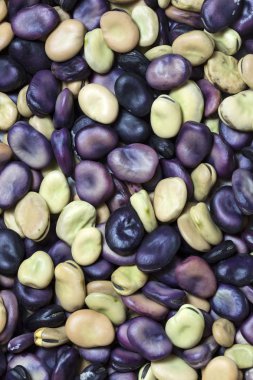 arka plan fasulye tohumları