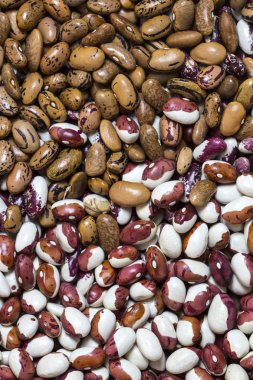 arka plan fasulye tohumları