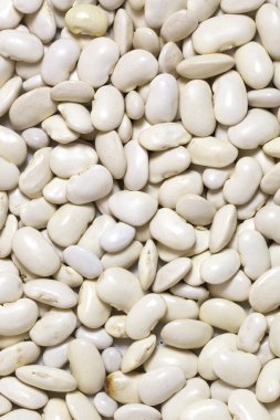 arka plan fasulye tohumları