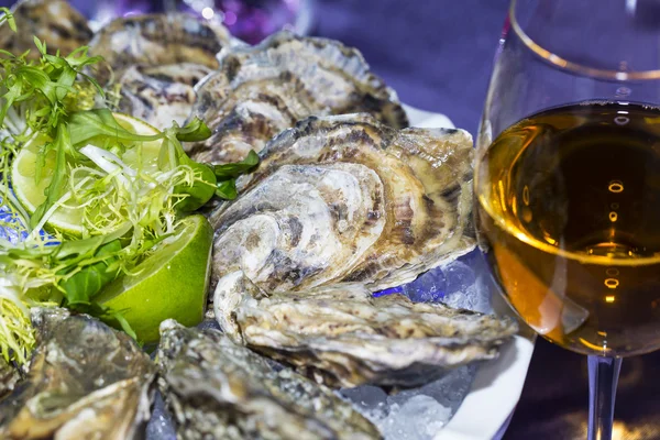 Las ostras sobre el hielo en el plato a la mesa —  Fotos de Stock