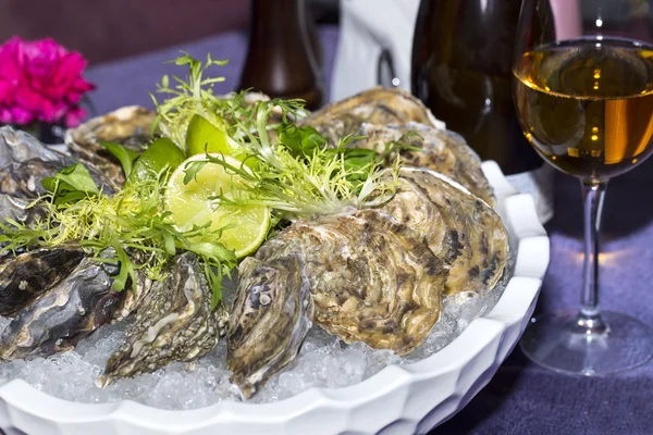 Oysters on ice in a dish on a table — Stock Photo, Image