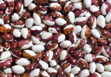 arka plan fasulye tohumları