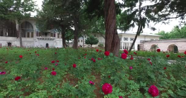 トプカピ宮殿古代オスマン帝国の君主 — ストック動画
