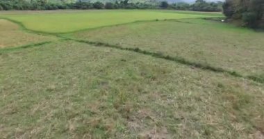 manzara Filipin Adaları