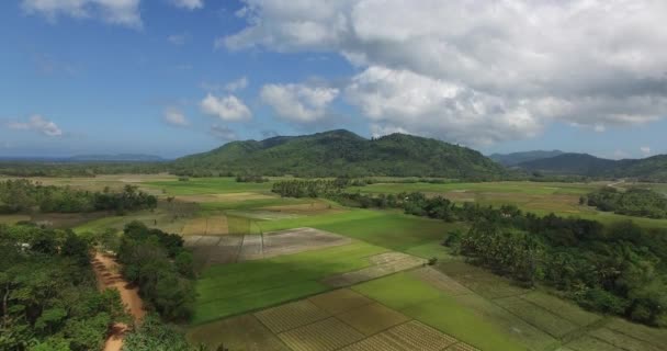 Landschap van de Filippijnse eilanden — Stockvideo