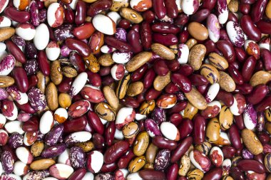 arka plan fasulye tohumları