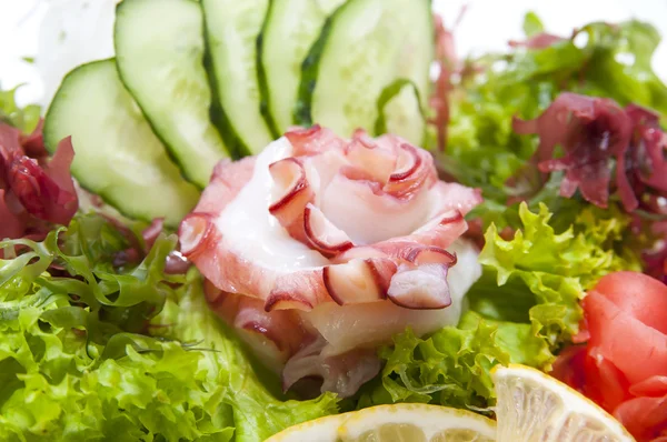 野菜と和食刺身 — ストック写真