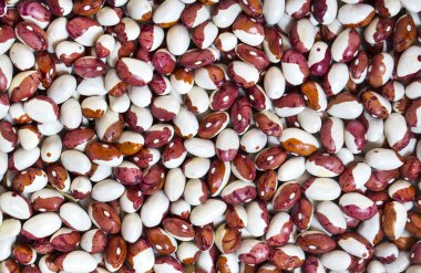 arka plan fasulye tohumları