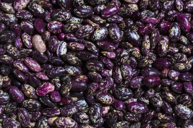 arka plan fasulye tohumları