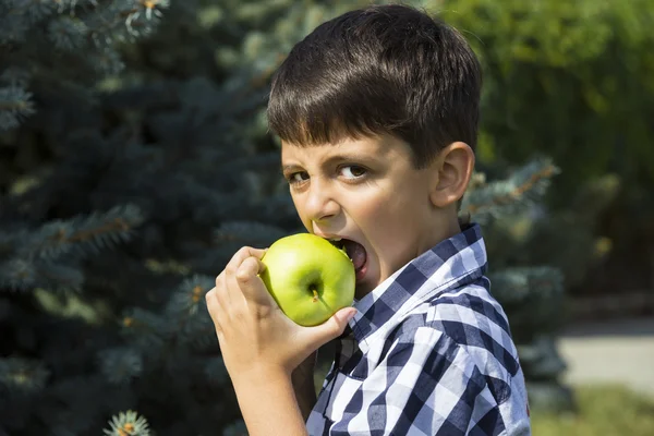 Jongen eet een appel — Stockfoto