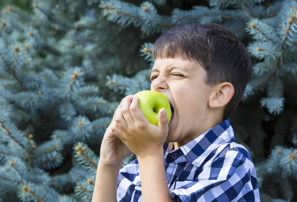 Jongen eet een appel — Stockfoto