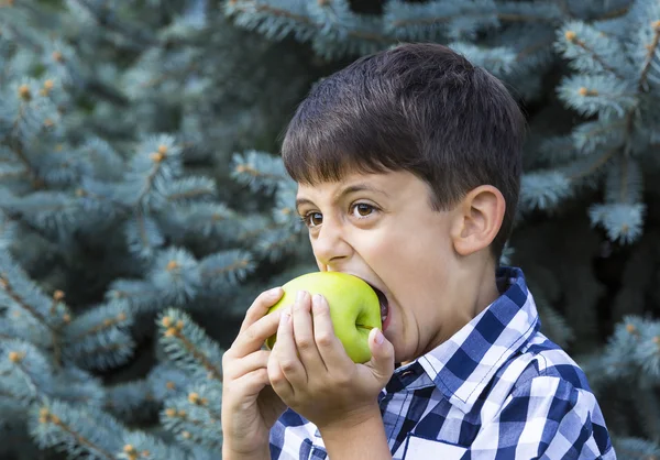 Jongen eet een appel — Stockfoto