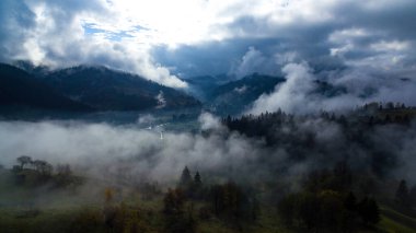  Manzara dağları Karpatlar Ukrayna sonbaharı ve kayalıklar üzerindeki ağaçlar.
