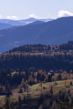  Manzara dağları Karpatlar Ukrayna sonbaharı ve kayalıklar üzerindeki ağaçlar.