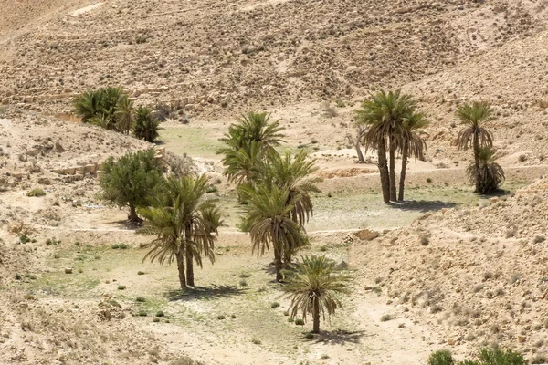 アフリカの砂漠 — ストック写真