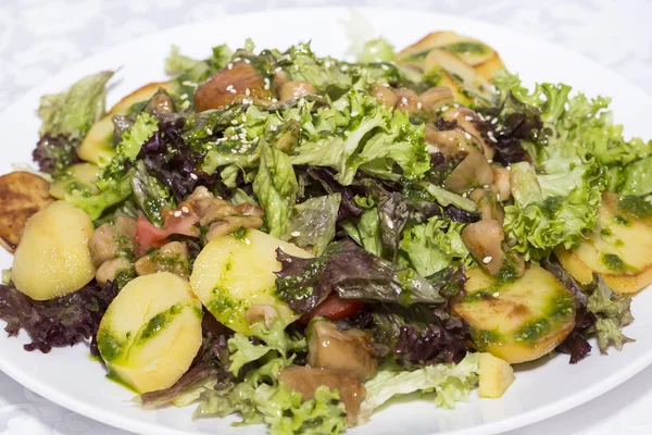 Salada com frango — Fotografia de Stock