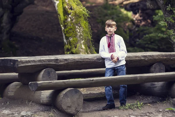 Menino vestindo roupas tradicionais ucranianas — Fotografia de Stock