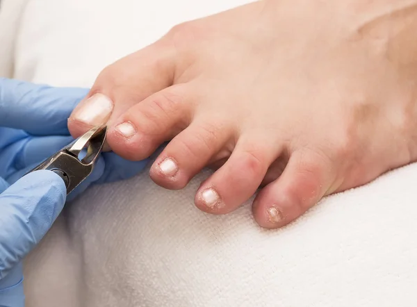 Process of pedicure — Stock Photo, Image