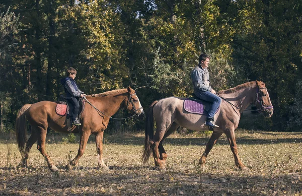 Padre e hijo montando juntos a caballo —  Fotos de Stock