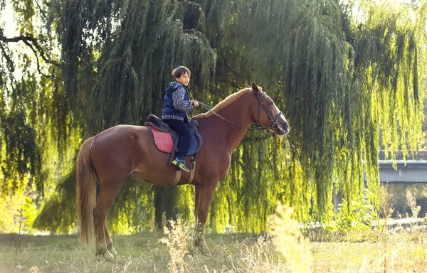 Счастливый мальчик-подросток на лошади — стоковое фото