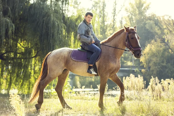 Jeune homme chevauchant cheval de race pure — Photo