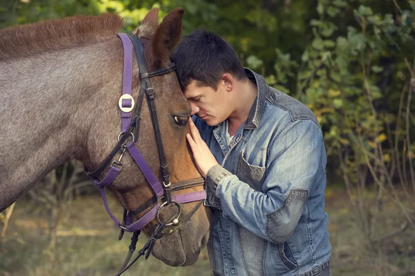 Jovem cavalgando cavalo de raça pura Fotografia De Stock