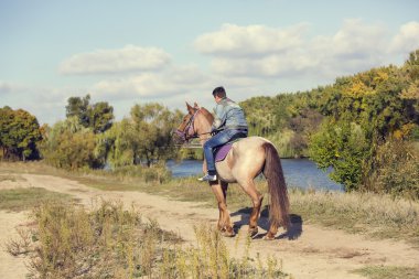 genç adam sürme safkan at