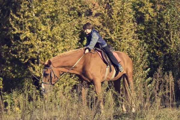 Adolescent heureux garçon sur le cheval — Photo