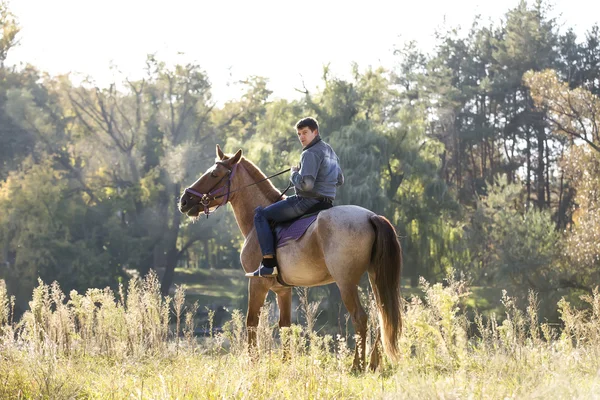 Jonge man paardrijden rasechte paard Rechtenvrije Stockfoto's