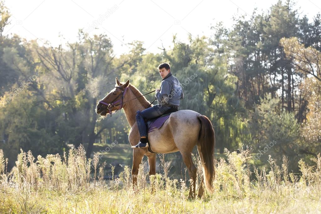 Young man riding Purebred Horse