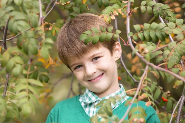 Porträt eines Jungen — Stockfoto