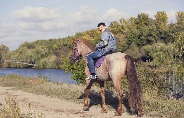年轻男子骑乘纯种马 — 图库照片