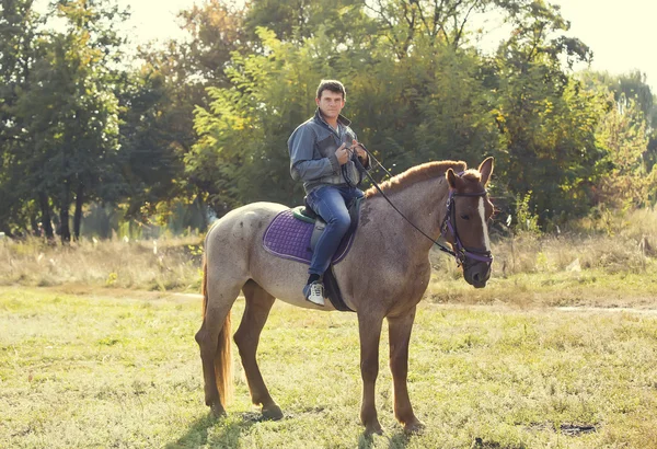 Young man riding Purebred Horse — Stock Photo, Image