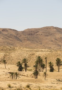 Afrika çöl kumulları