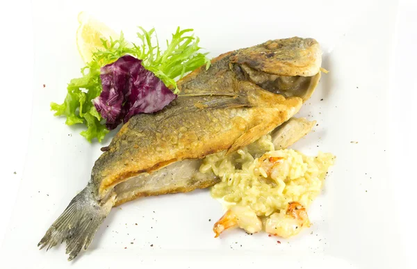 Fried fish dorado — Stock Photo, Image