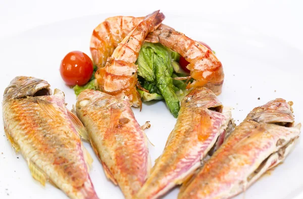 Grilled fish with shrimp salad — Stock Photo, Image