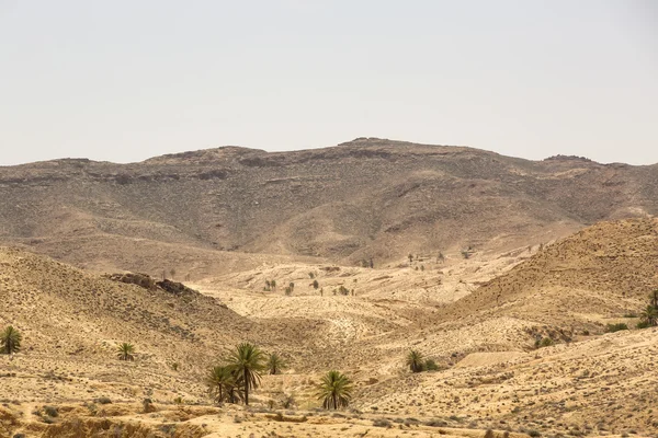 Dune di sabbia desertiche africane — Foto Stock