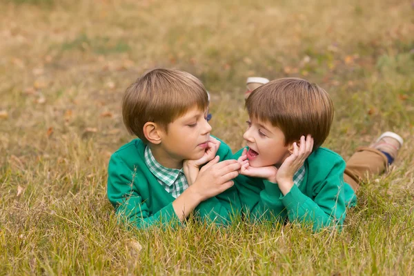 Broers liggen op het gras — Stockfoto