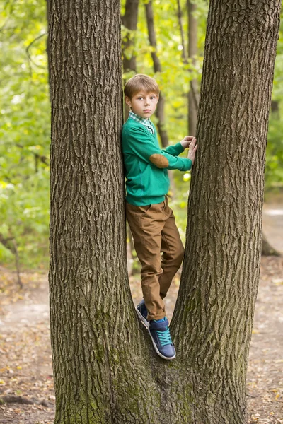 Petit garçon dans le parc — Photo