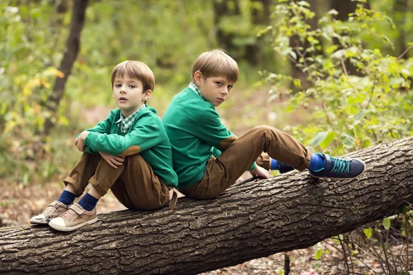 Little boys in the park — Stock Photo, Image