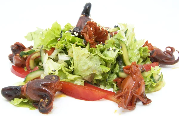 Salad of octopus and cabbage leaves — Stock Photo, Image