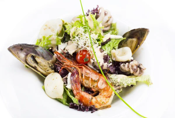 Zeevruchten salade op plaat — Stockfoto