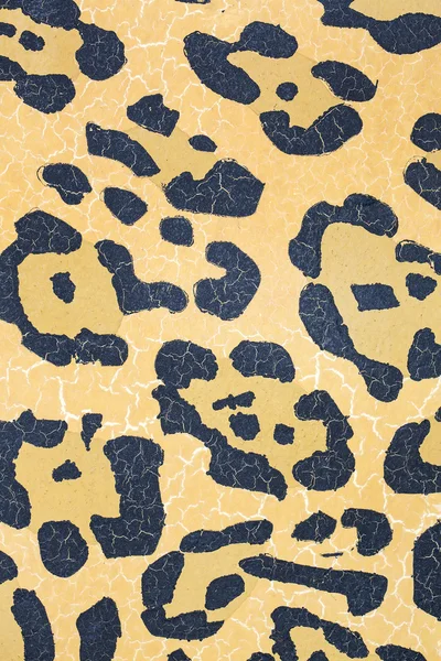 Leopard skin texture — Stock Photo, Image