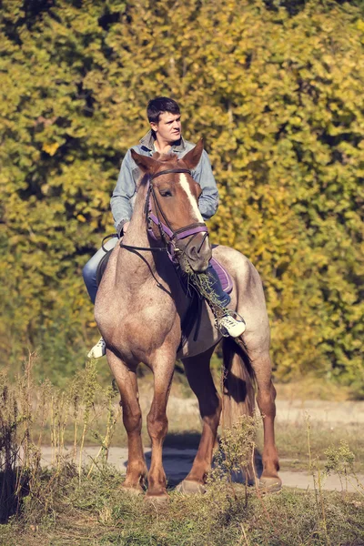 Junger Mann reitet auf reinrassigem Pferd — Stockfoto