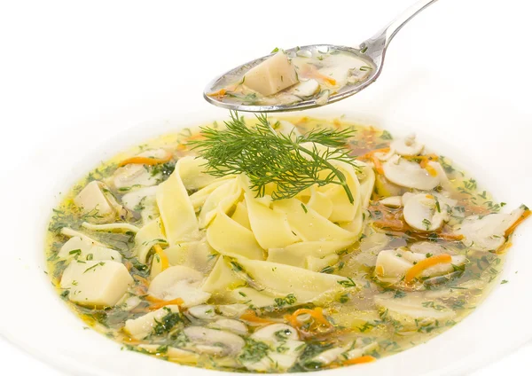 Suppe aus Gemüse und Pilzen — Stockfoto
